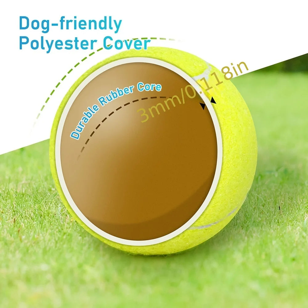 Lot de 3 Balles de Tennis pour Chiens – Jouets Interactifs Intérieur & Extérieur