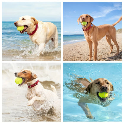 Lot de 3 Balles de Tennis pour Chiens – Jouets Interactifs Intérieur & Extérieur