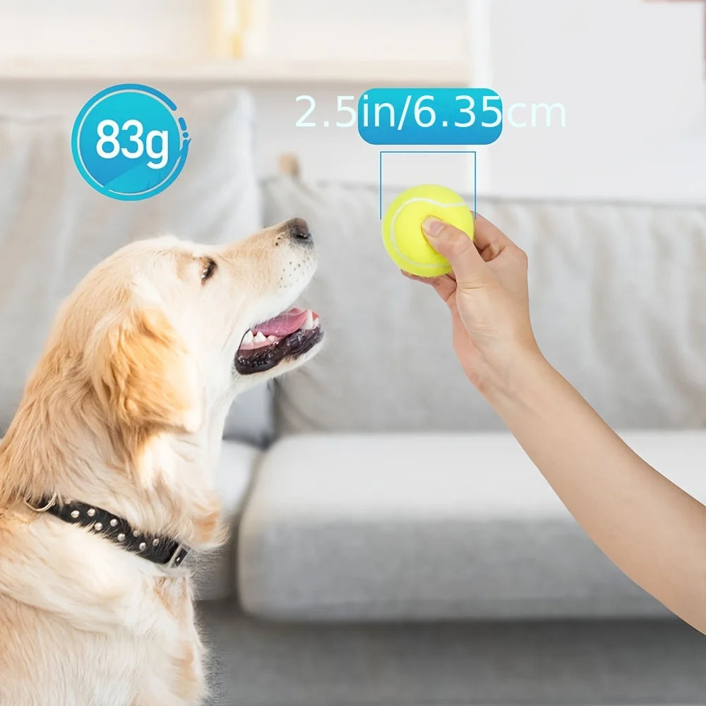 Lot de 3 Balles de Tennis pour Chiens – Jouets Interactifs Intérieur & Extérieur