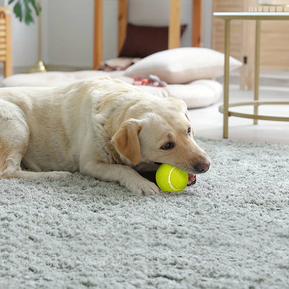 Lot de 3 Balles de Tennis pour Chiens – Jouets Interactifs Intérieur & Extérieur