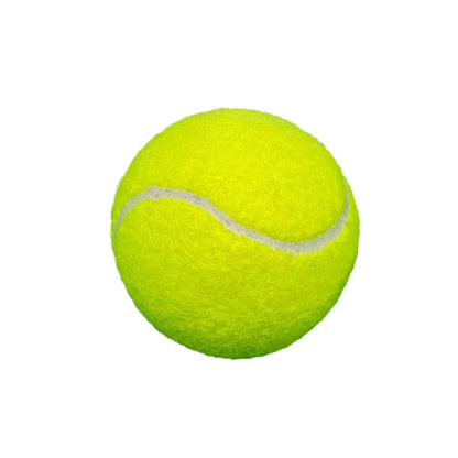 Lot de 3 Balles de Tennis pour Chiens – Jouets Interactifs Intérieur & Extérieur