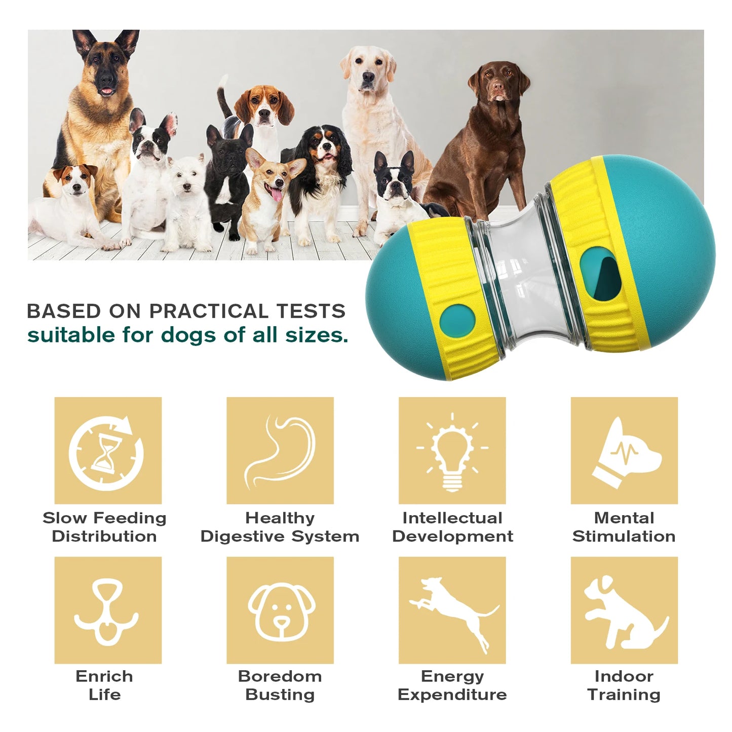 Jouet Interactif pour Chiens & Chats – Entraînement et Stimulation Intérieure