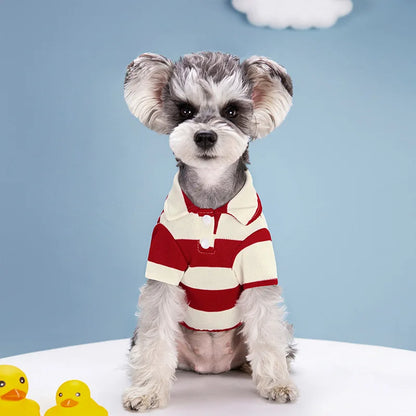Polo d’Été Décontracté pour Chiens – Petits & Grands