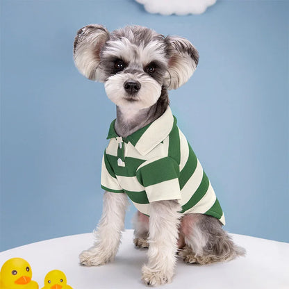 Polo d’Été Décontracté pour Chiens – Petits & Grands