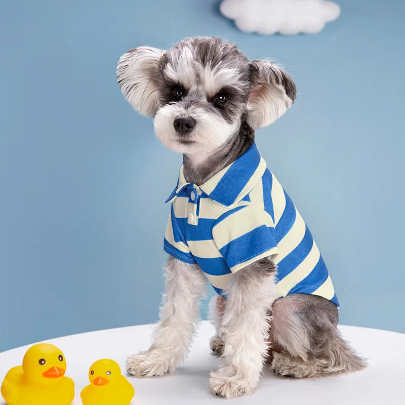 Polo d’Été Décontracté pour Chiens – Petits & Grands