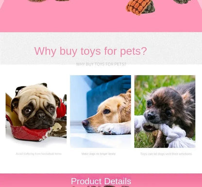 Peluche Dinosaure pour Chiens et Chats – Jouet Interactif