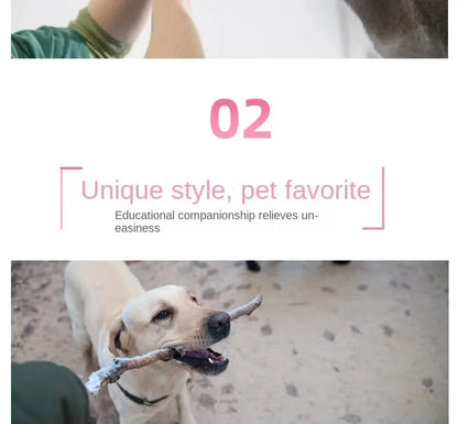 Peluche Dinosaure pour Chiens et Chats – Jouet Interactif