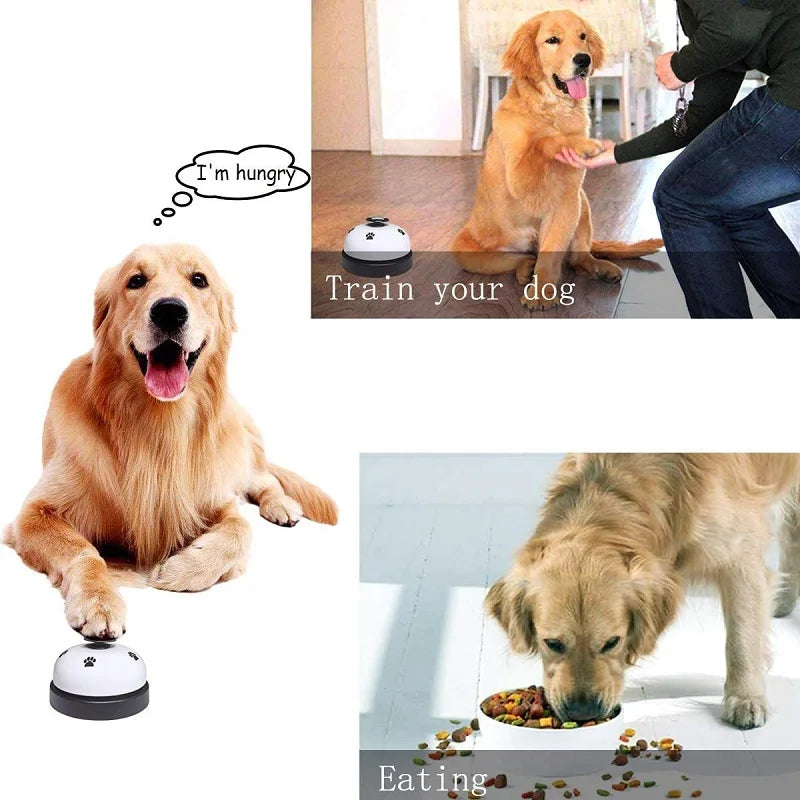 Cloche Interactif pour Animaux – Dressage & Stimulation