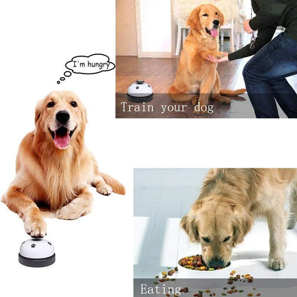 Cloche Interactif pour Animaux – Dressage & Stimulation