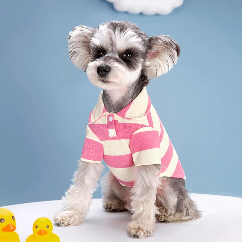 Polo d’Été Décontracté pour Chiens – Petits & Grands