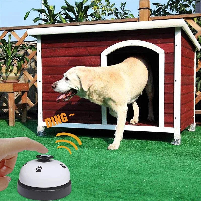 Cloche Interactif pour Animaux – Dressage & Stimulation