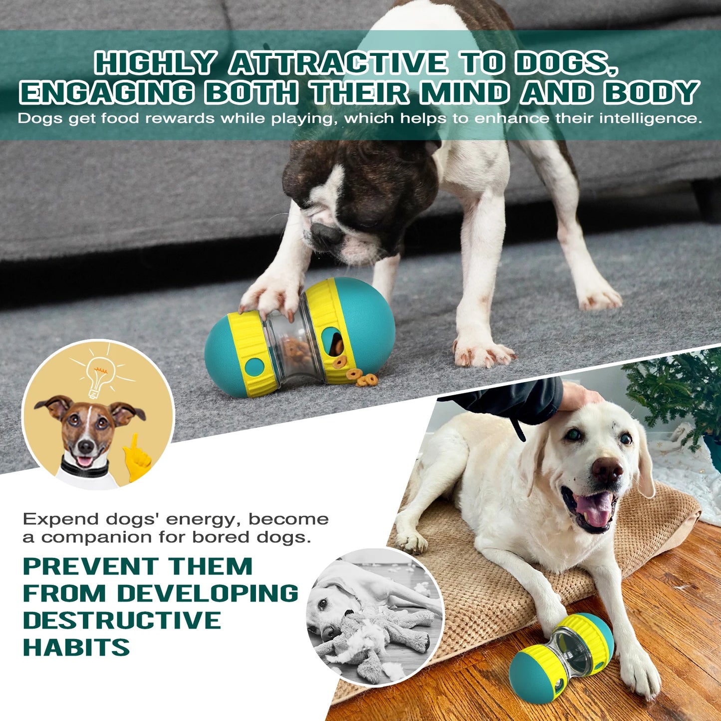 Jouet Interactif pour Chiens & Chats – Entraînement et Stimulation Intérieure